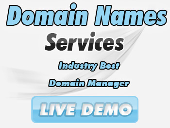 Modestly priced domain name registration